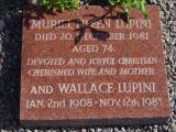 image of grave number 786893